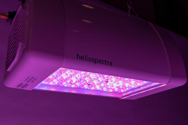 Heliospectra获得LED植物照明订单 - LEDinside